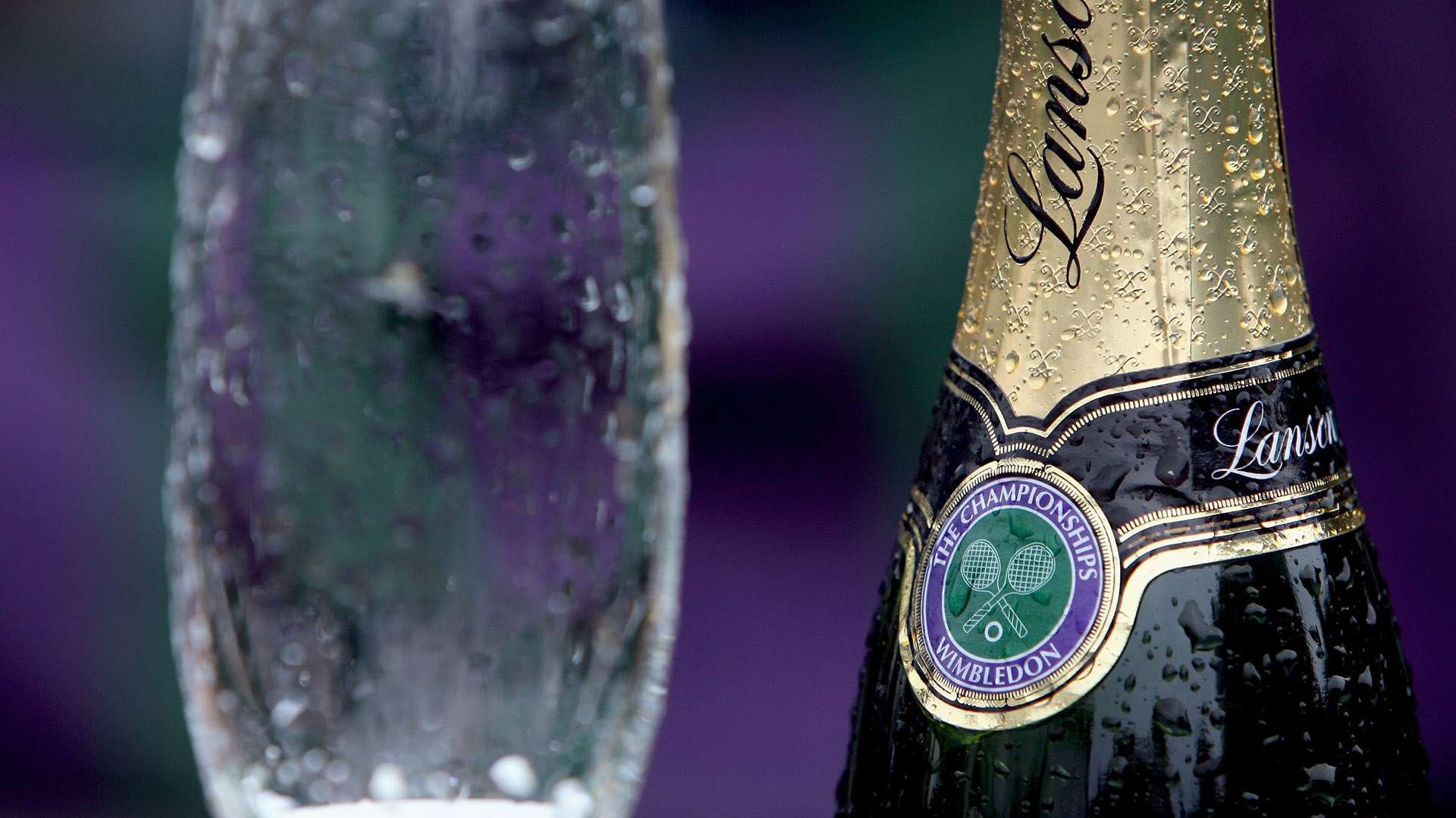 常驻嘉宾 常驻嘉宾